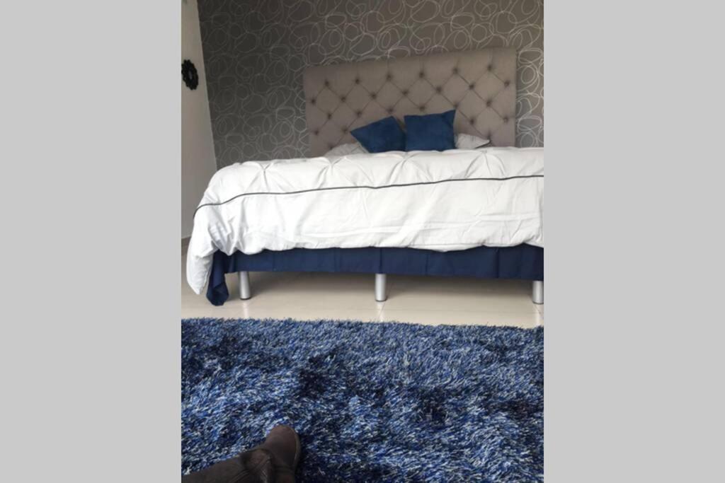 墨西哥城Espectacular Loft En Ph Zona Polanco D公寓 外观 照片